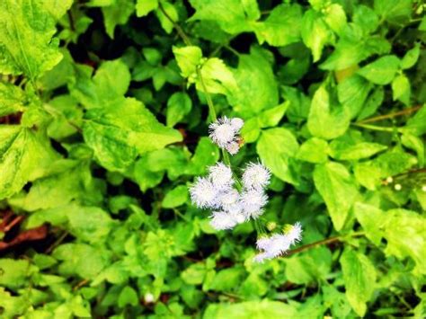 平阳萧江春华初级会计师培训学习