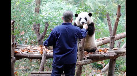 温州瑞安塘下春华培训会计培训