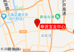 奉贤宝龙中心