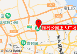 顾村公园正大广场中心