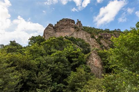 乐清雁荡春华一级建造师培训学习