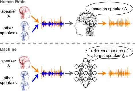 无锡听觉注意力训练方法