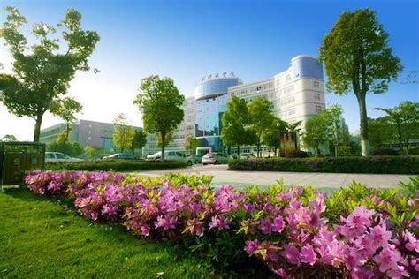 温州哪家会计考证培训机构比较好