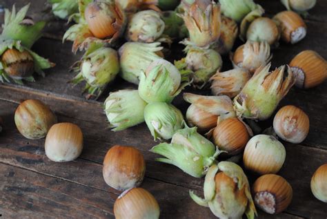 温州哪家金管家软件培训机构比较好