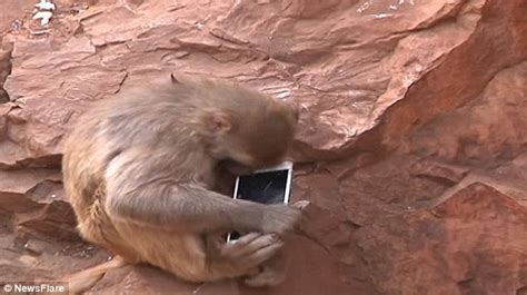 昆明手机维修初级学习班