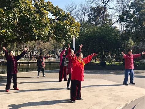 苏州园区日语N1培训班哪里有