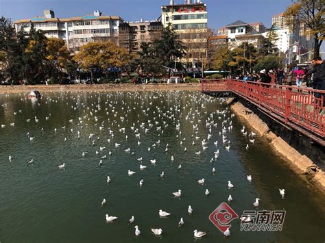 昆明学雅思寒假班