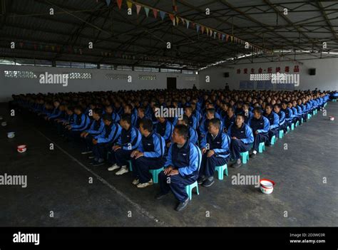 昆明产后康复培训课程和内容 星月嫂之家高级产后康复培训