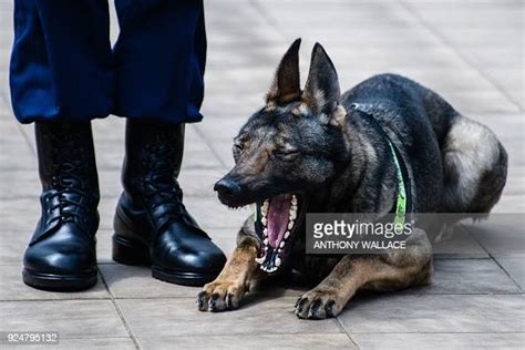 成人法语培训昆明