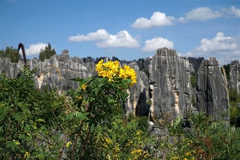 出国旅游英语口语昆明