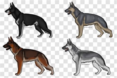 德语培训机构排行榜昆明