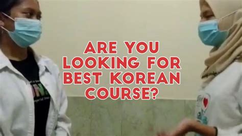 成人韩语培训班