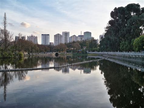 昆明楚留仙玉咖啡培训学院