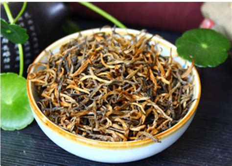 云南健康管理师培训费用多少