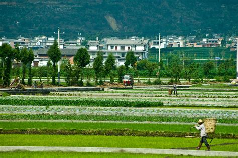 云南健康管理师有年龄限制吗