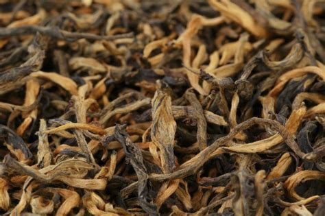 云南健康管理师可以个人报名吗