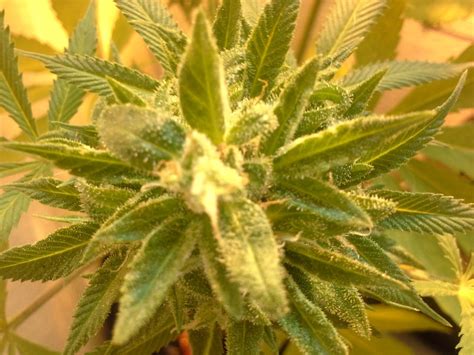 云南健康管理师可以个人报名吗