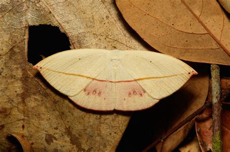 云南健康管理师可以个人报名吗