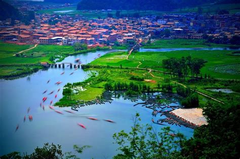 云南健康管理师报考条件