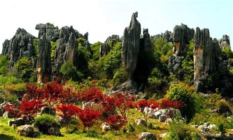 云南健康管理师报考条件