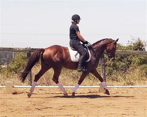 乐清白象哪个淘宝美工培训比较好