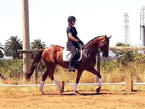 乐清白象暑假培训手工全盘账培训