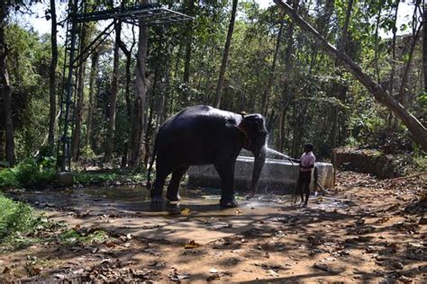 乐清白象暑假培训主办会计精英培训