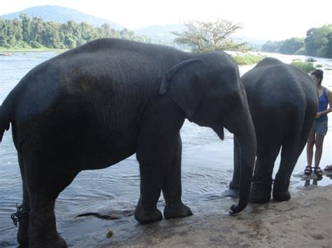 乐清白象好的FLASH动画培训机构