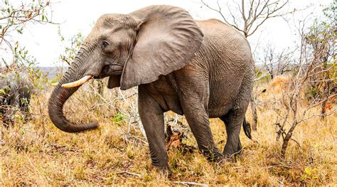 乐清白象好的电脑培训机构
