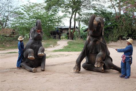 乐清白象好的财务软件培训机构