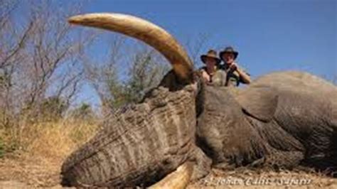 乐清白象好的会计全能培训机构