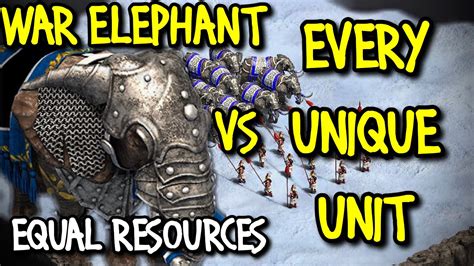 乐清白象好的会计精英培训机构