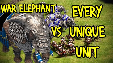 乐清白象好的主办会计精英培训机构