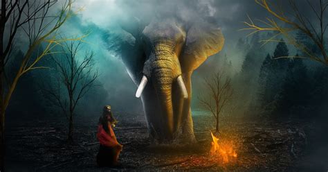 乐清白象春华Photoshop室内设计培训学习