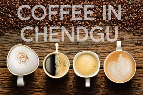 成都太阳鸟咖啡烘焙师专业全能学习