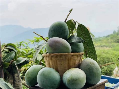 攀枝花CMA中文面授课程