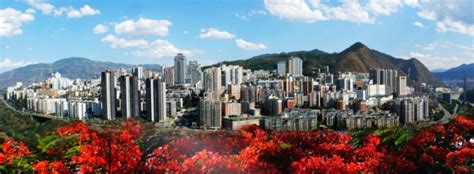 攀枝花会计培训