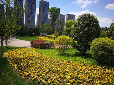 成都成华区出国留学英语基础补习
