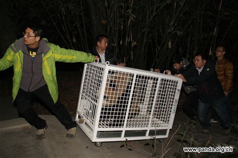 成都美考文化课培训基地