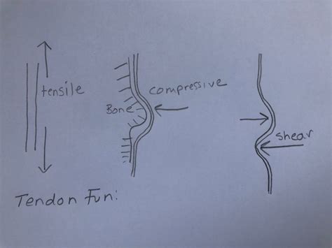 成都经络拨筋手法培训
