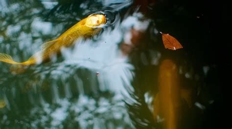 成都成人英语强化辅导_汉普森