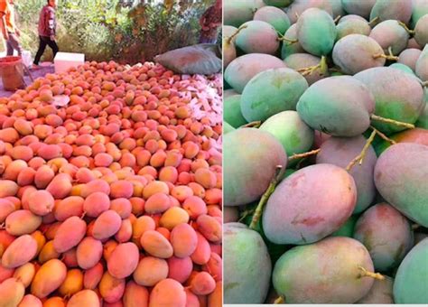 攀枝花教师资格证多少分