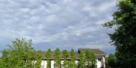 眉山会计培训哪里好