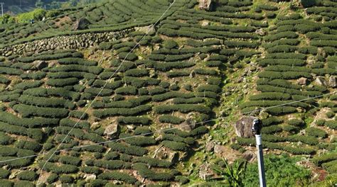 眉山仁和精算实战培训班