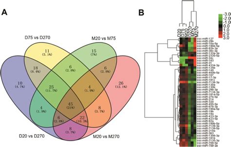 眉山会计中级职称全程精讲培训