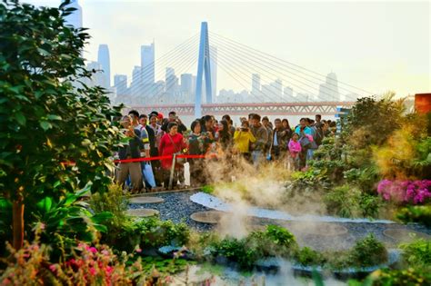 重庆学花艺哪个好