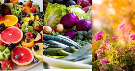 重庆市花艺学习