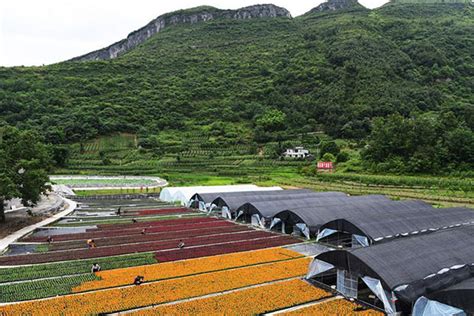 重庆花艺培训大全