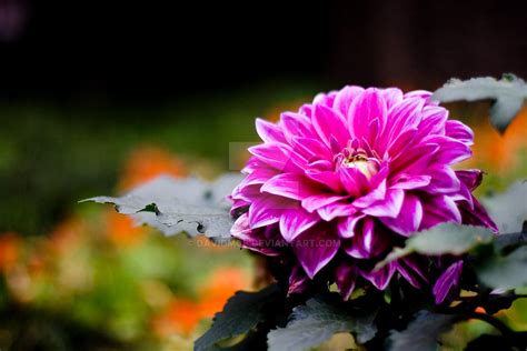 重庆花艺短期培训班