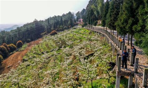 重庆渝北区高中1对1